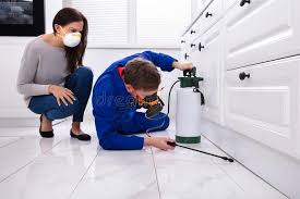 Reliable Richwood, NJ Pest Control Solutions